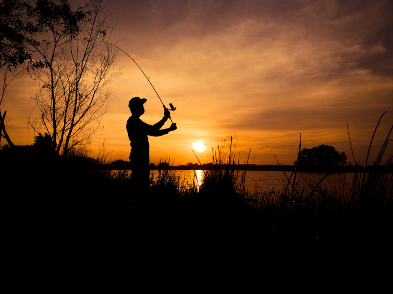 https://afishingaddiction.com/assets/img/posts/best-time-to-go-bass-fishing/silhouette-of-man-holding-fishing-rod-during-sunset-12069878-800x599.webp