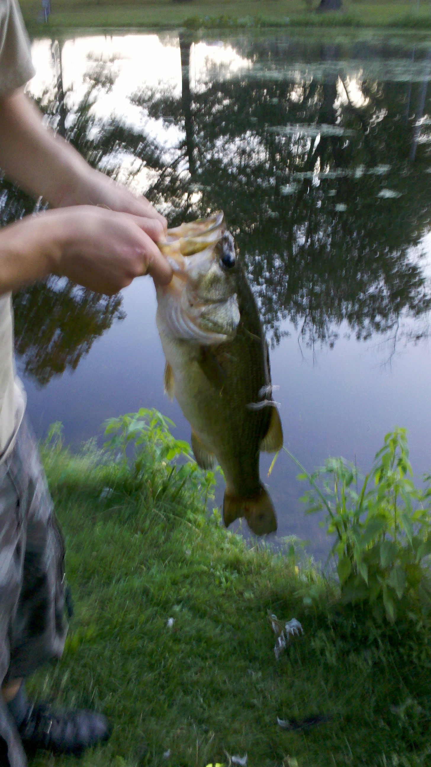 Paddle Boat Bass Fishing! (Spring Bass Fishing and Pond Management